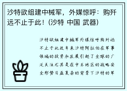 沙特欲组建中械军，外媒惊呼：购歼远不止于此！(沙特 中国 武器)